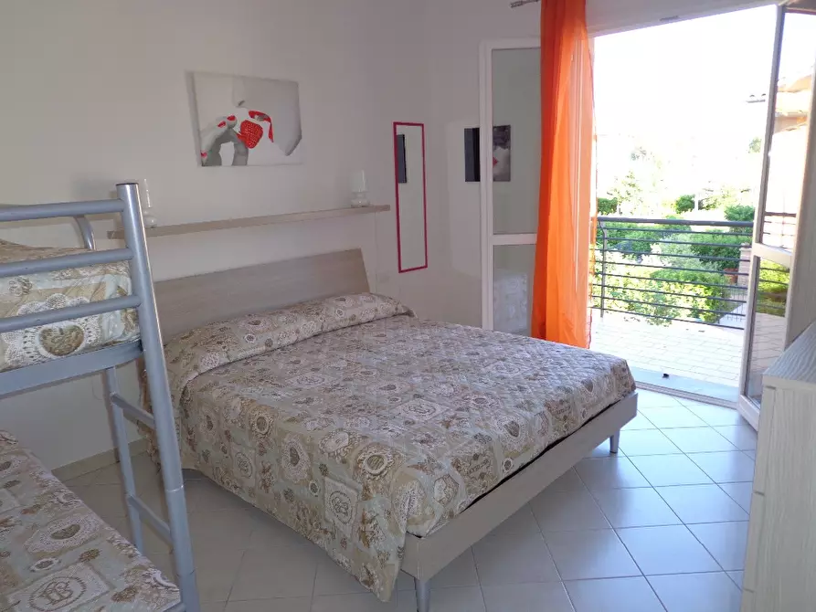 Immagine 17 di Appartamento in affitto  a Castagneto Carducci