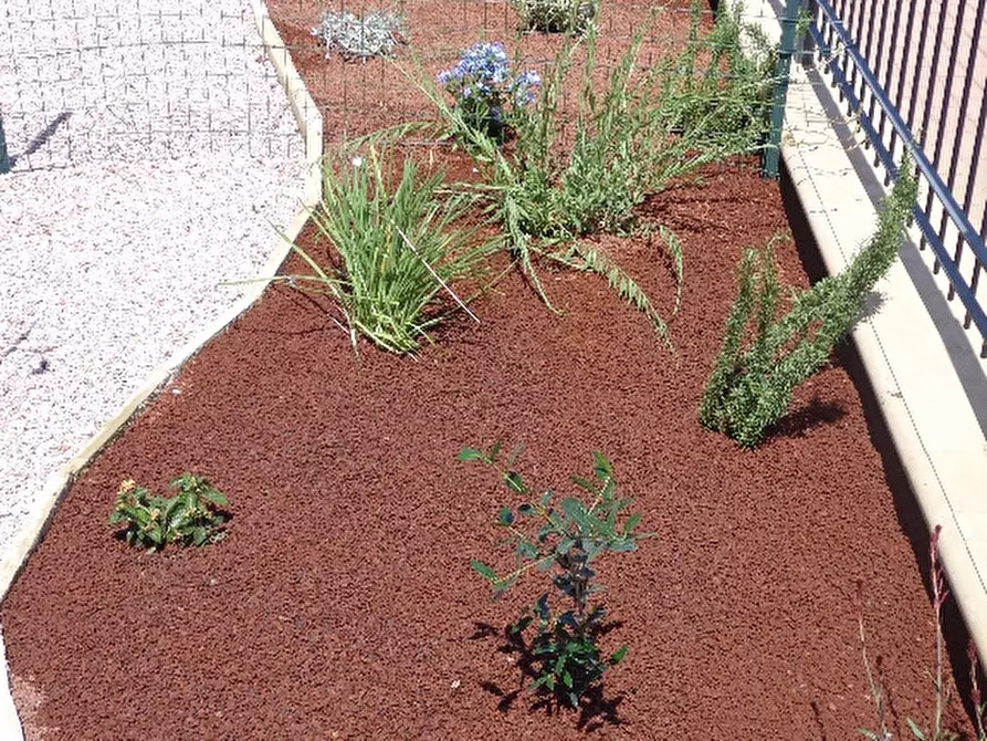 Immagine 21 di Appartamento in affitto  a Castagneto Carducci