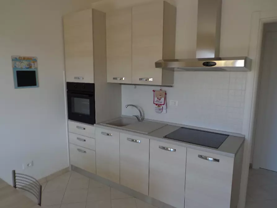 Immagine 11 di Appartamento in affitto  a Castagneto Carducci