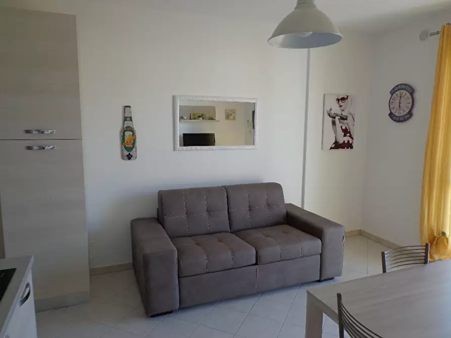 Immagine 14 di Appartamento in affitto  a Castagneto Carducci