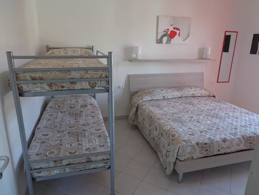 Immagine 15 di Appartamento in affitto  a Castagneto Carducci