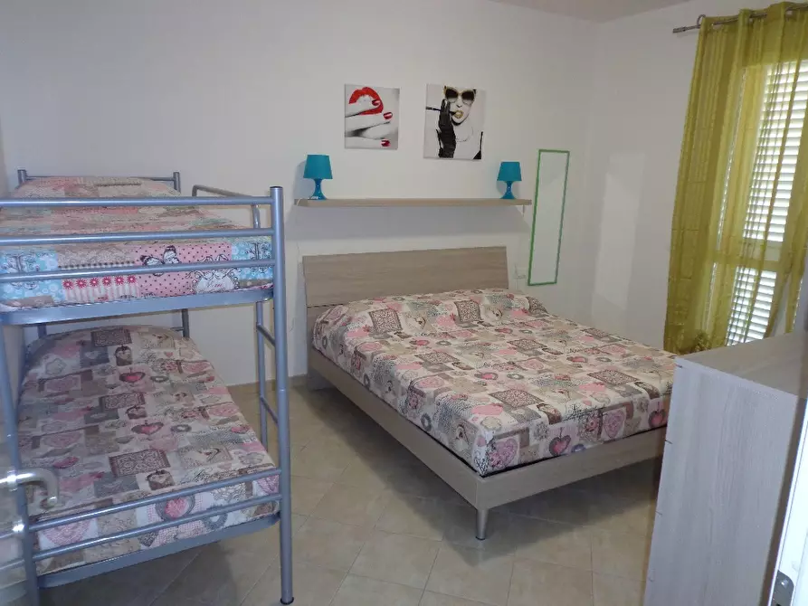 Immagine 14 di Appartamento in affitto  a Castagneto Carducci