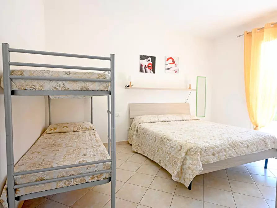 Immagine 15 di Appartamento in affitto  a Castagneto Carducci