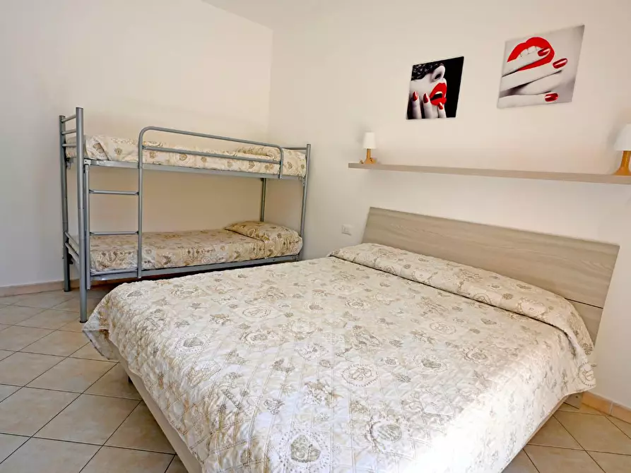 Immagine 16 di Appartamento in affitto  a Castagneto Carducci