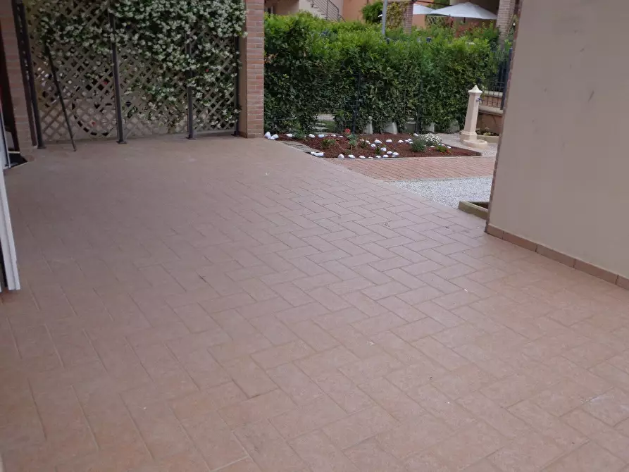 Immagine 21 di Appartamento in affitto  a Castagneto Carducci
