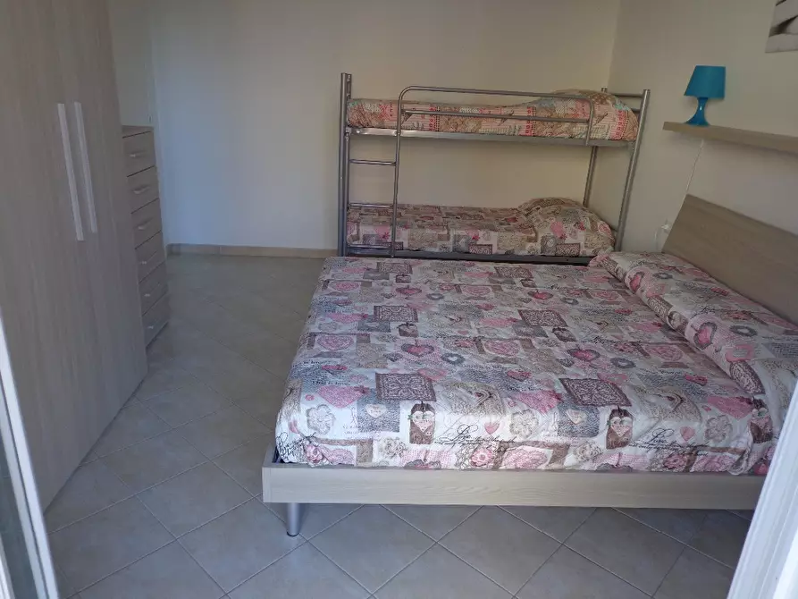 Immagine 16 di Appartamento in affitto  a Castagneto Carducci