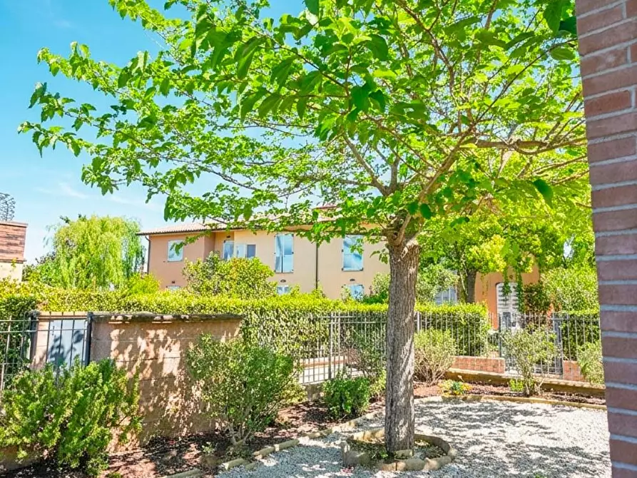 Immagine 29 di Appartamento in affitto  a Castagneto Carducci