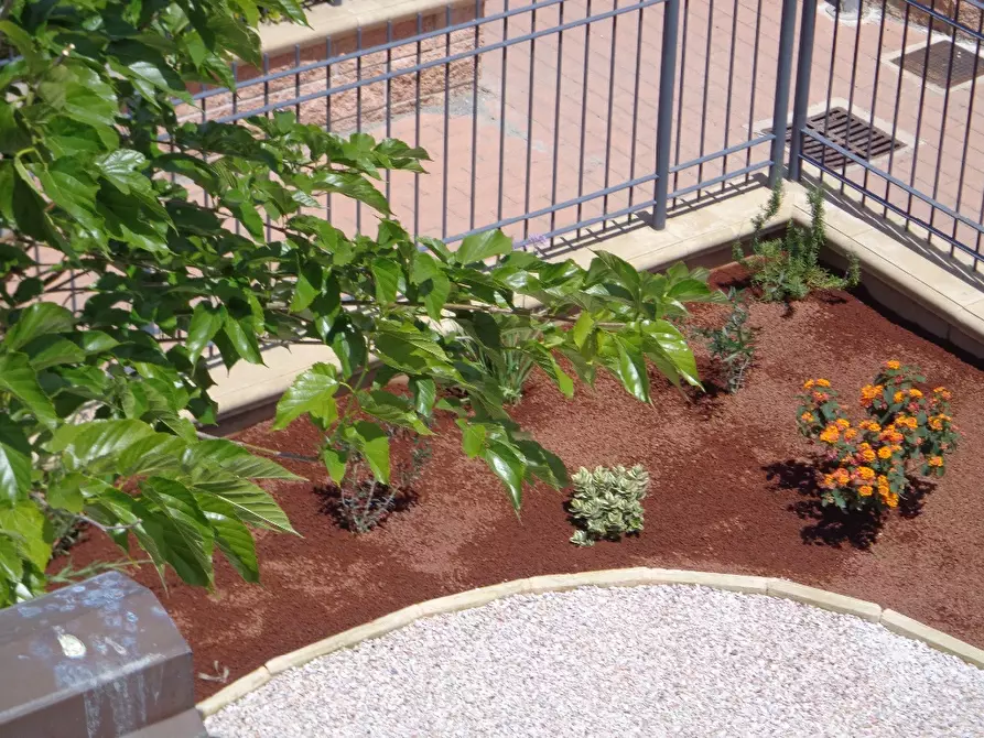 Immagine 20 di Appartamento in affitto  a Castagneto Carducci