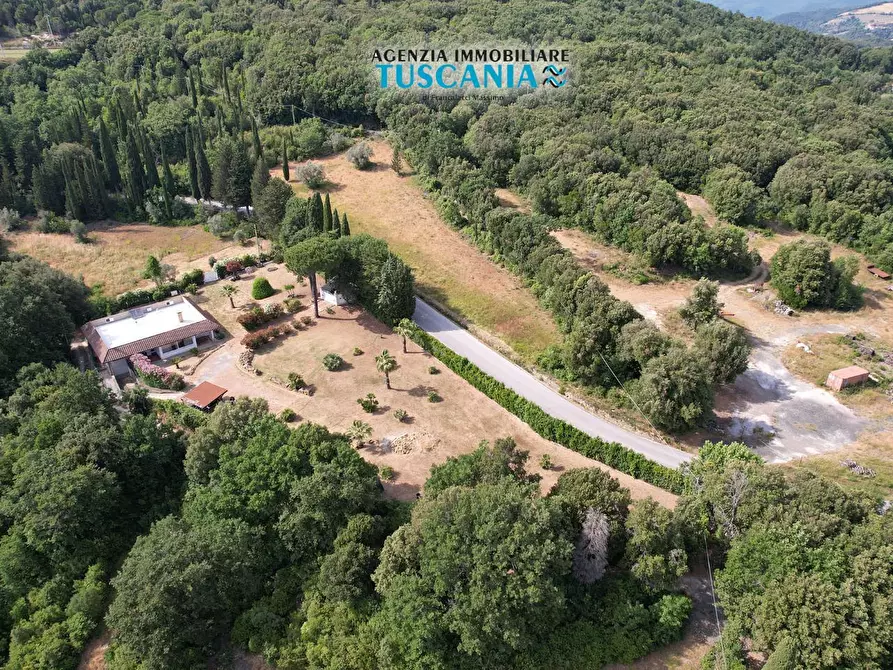 Immagine 40 di Villa in vendita  a Monteverdi Marittimo