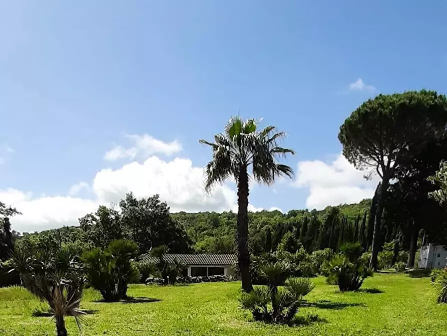 Immagine 38 di Villa in vendita  a Monteverdi Marittimo