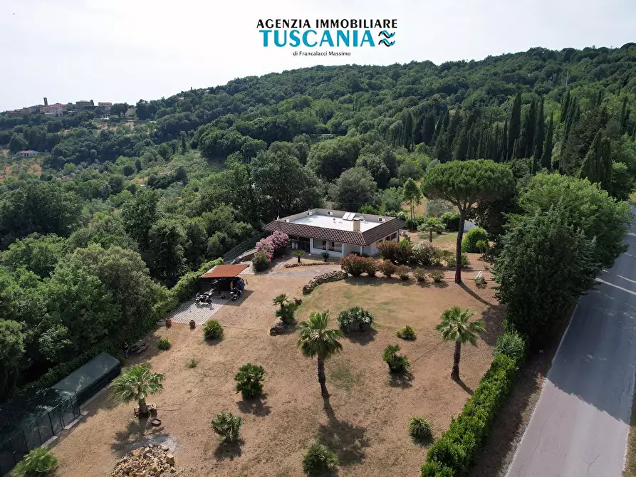 Immagine 41 di Villa in vendita  a Monteverdi Marittimo