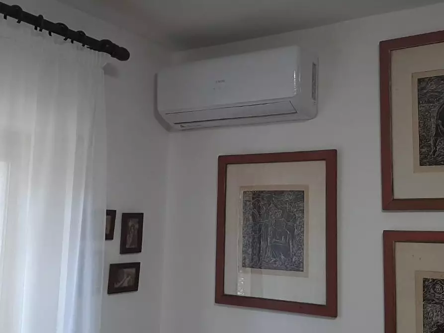 Immagine 5 di Villa in vendita  a Cecina