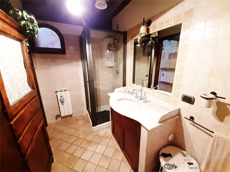 Immagine 28 di Casa colonica in vendita  a Montespertoli