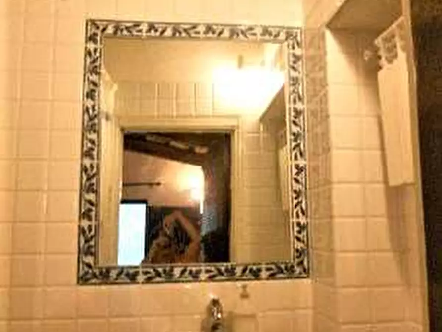 Immagine 20 di Porzione di casa in vendita  a Montespertoli