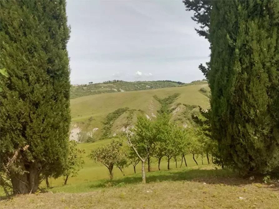 Immagine 17 di Porzione di casa in vendita  a Rapolano Terme