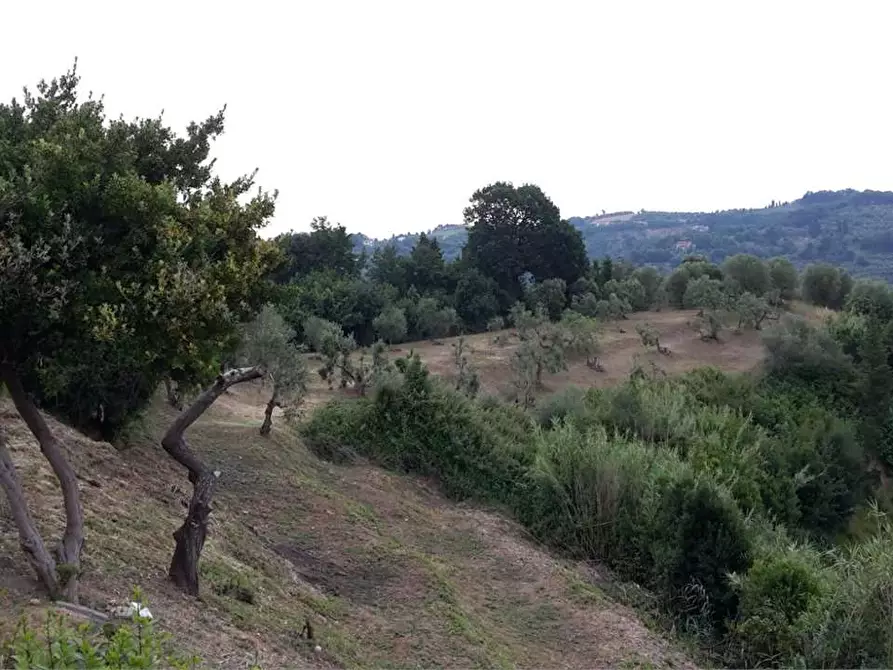 Immagine 20 di Casa colonica in vendita  a Montopoli In Val D'arno