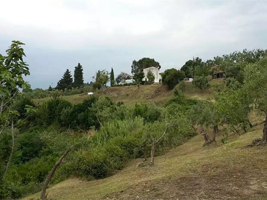 Immagine 17 di Casa colonica in vendita  a Montopoli In Val D'arno
