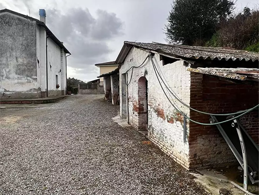 Immagine 18 di Casa colonica in vendita  a Montopoli In Val D'arno
