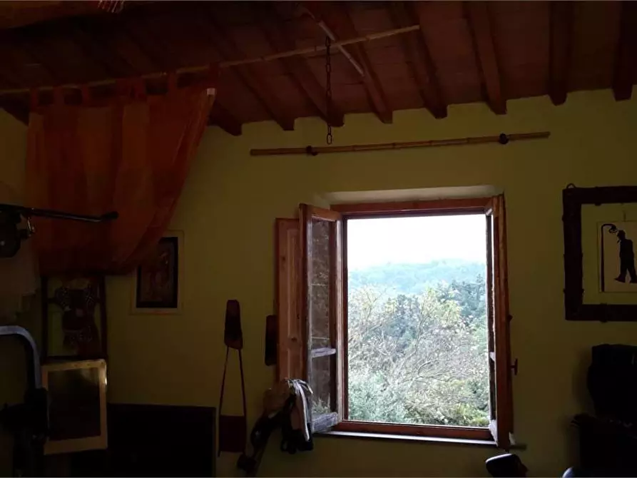 Immagine 13 di Casa colonica in vendita  a Montopoli In Val D'arno