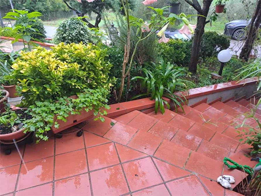 Immagine 3 di Appartamento in vendita  a Cerreto Guidi