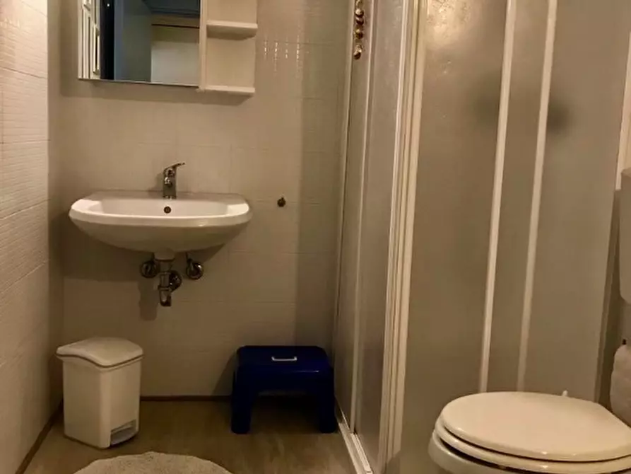 Immagine 14 di Appartamento in affitto  a Pisa