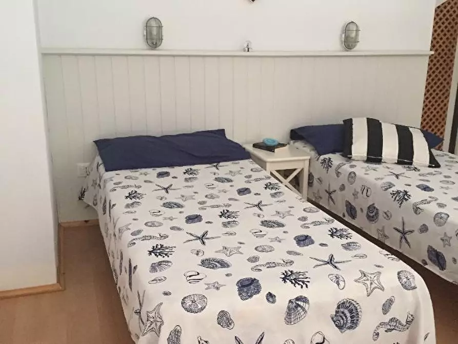 Immagine 12 di Appartamento in affitto  a Pisa