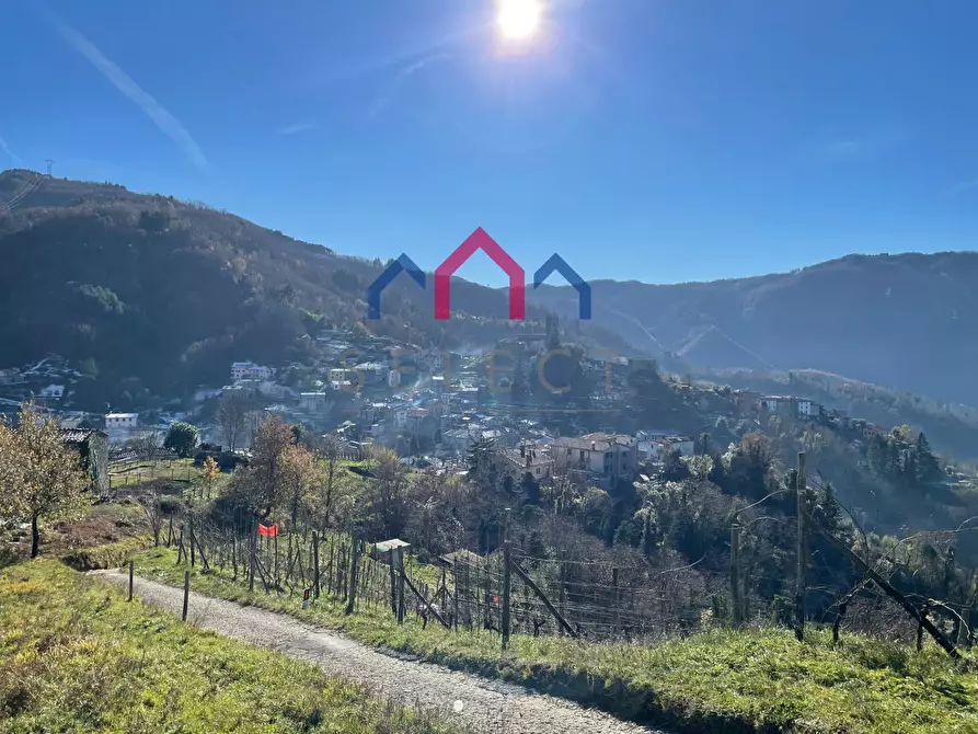 Immagine 3 di Casa semindipendente in vendita  a Borgo A Mozzano