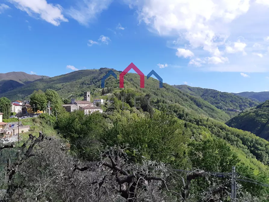 Immagine 2 di Appartamento in vendita  a Bagni Di Lucca