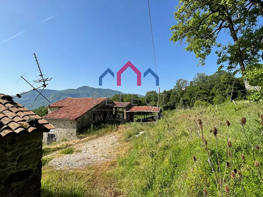 Immagine 30 di Rustico / casale in vendita  a Molazzana