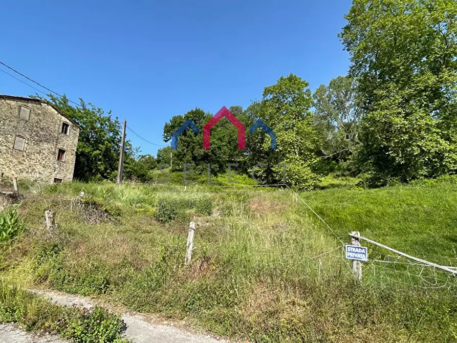 Immagine 7 di Rustico / casale in vendita  a Molazzana