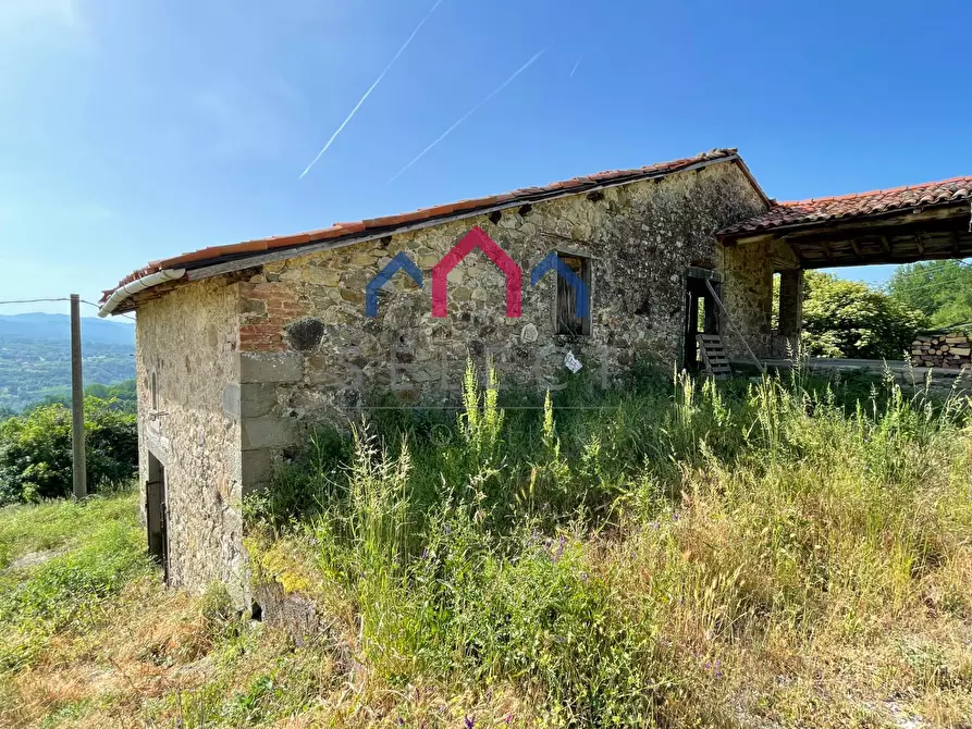 Immagine 42 di Rustico / casale in vendita  a Molazzana