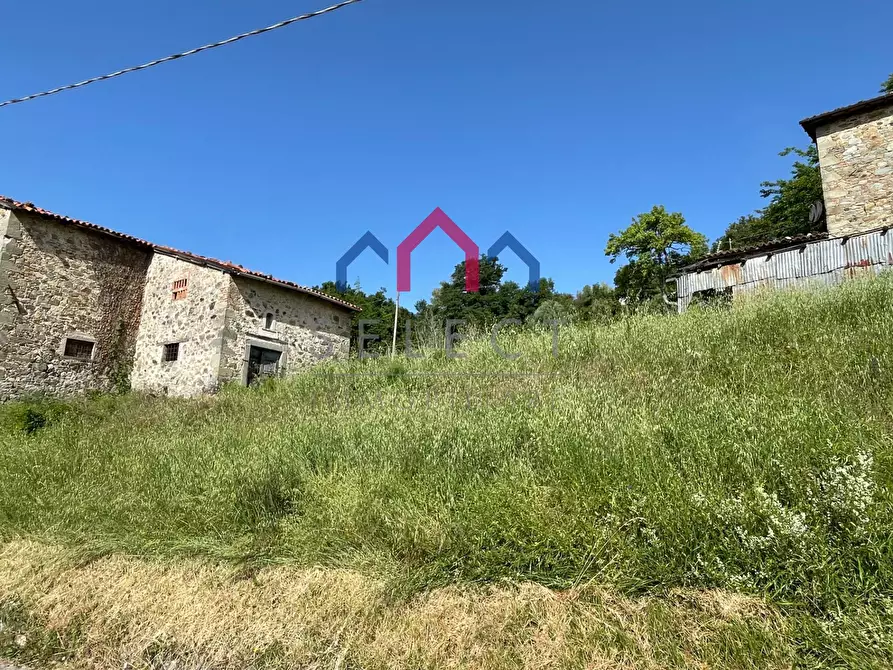 Immagine 35 di Rustico / casale in vendita  a Molazzana