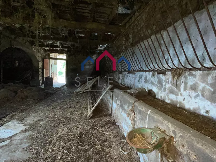 Immagine 55 di Rustico / casale in vendita  a Molazzana