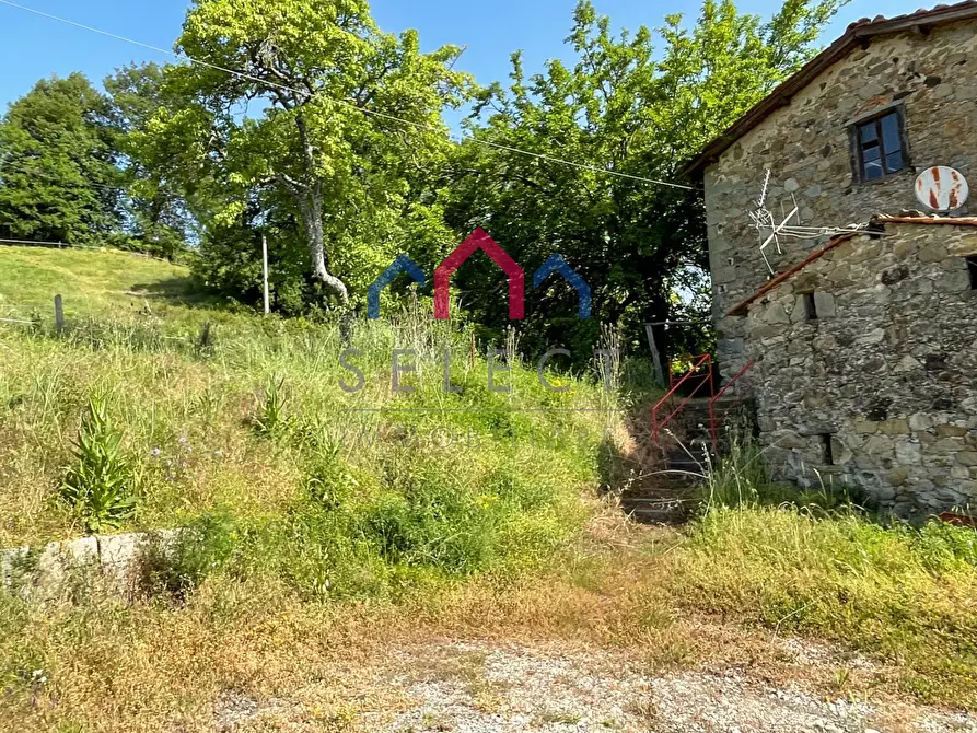 Immagine 16 di Rustico / casale in vendita  a Molazzana