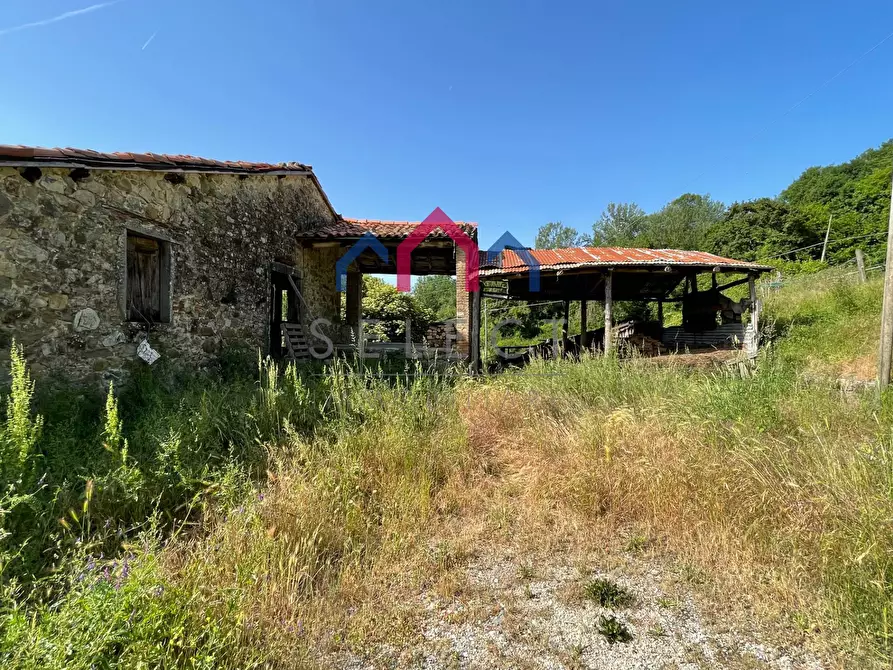 Immagine 43 di Rustico / casale in vendita  a Molazzana