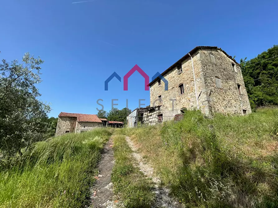 Immagine 9 di Rustico / casale in vendita  a Molazzana