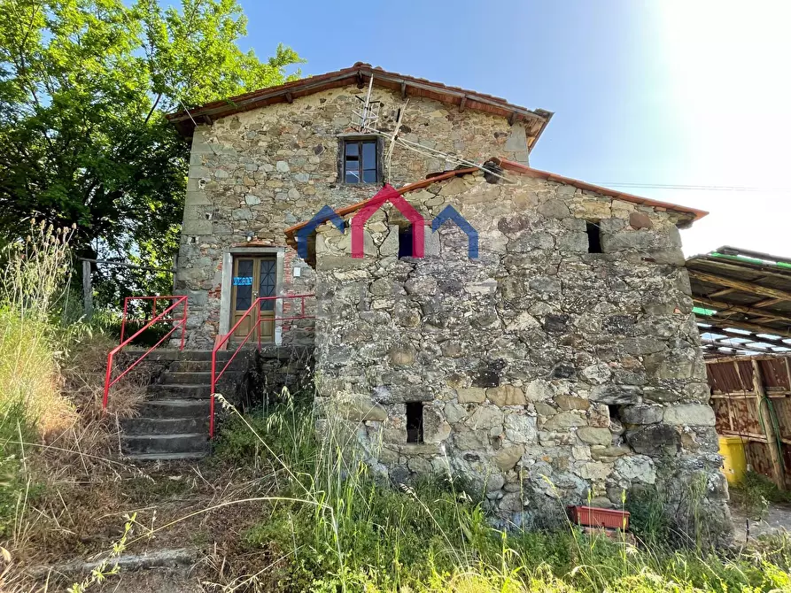 Immagine 3 di Rustico / casale in vendita  a Molazzana