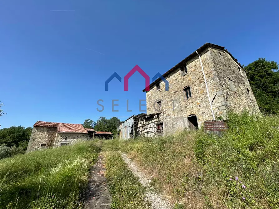 Immagine 10 di Rustico / casale in vendita  a Molazzana