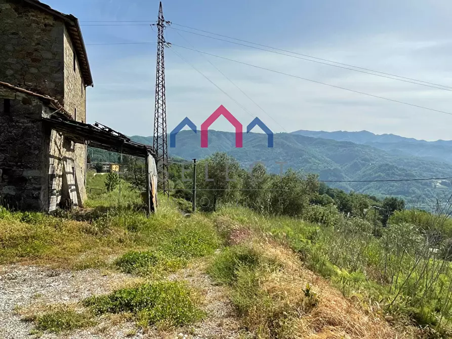 Immagine 17 di Rustico / casale in vendita  a Molazzana