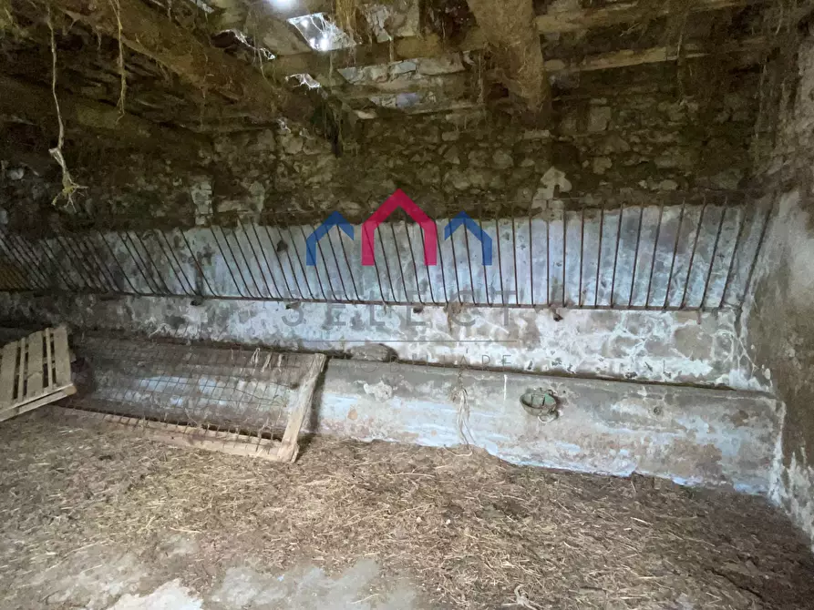 Immagine 54 di Rustico / casale in vendita  a Molazzana