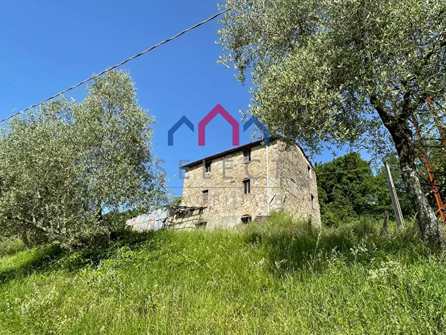 Immagine 13 di Rustico / casale in vendita  a Molazzana