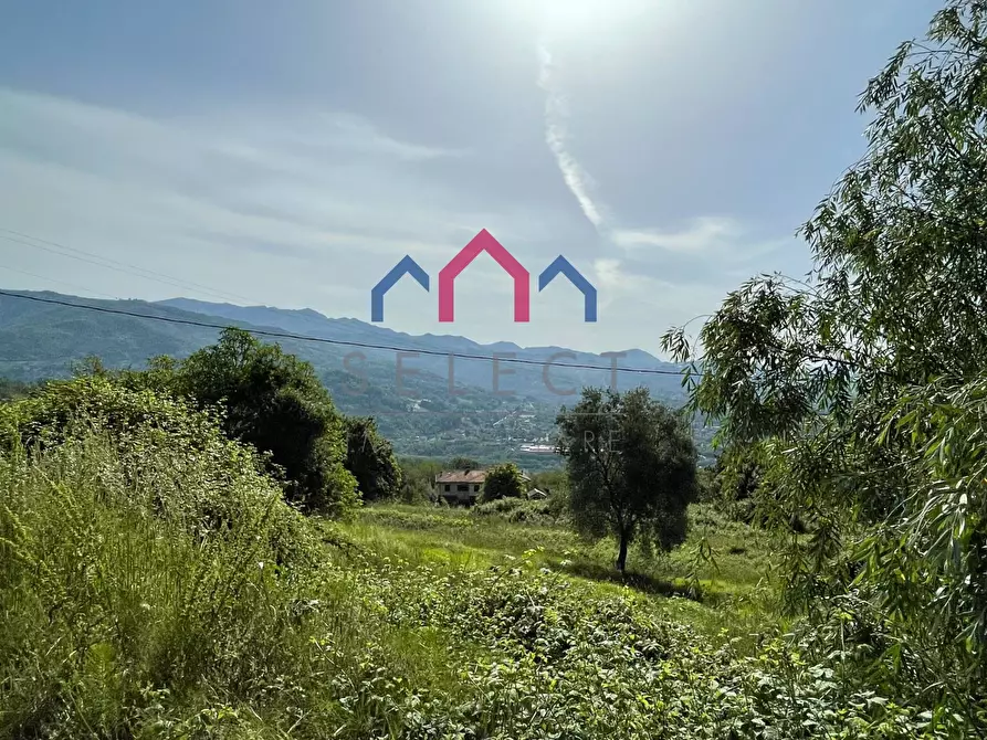 Immagine 40 di Rustico / casale in vendita  a Molazzana