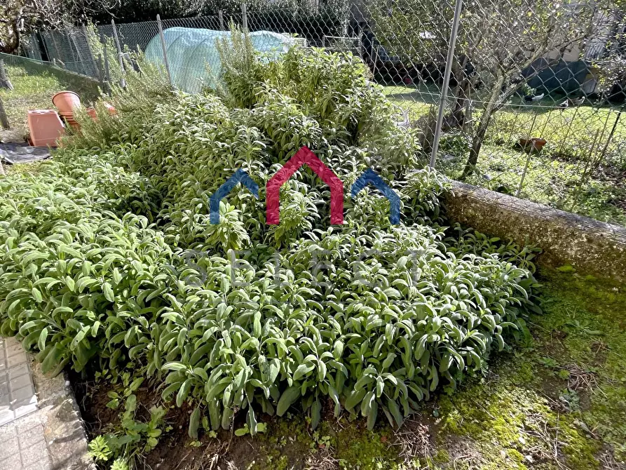 Immagine 59 di Appartamento in vendita  a Bagni Di Lucca