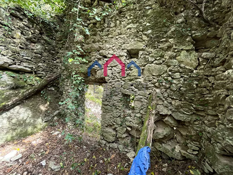 Immagine 54 di Terratetto in vendita  a Fabbriche Di Vergemoli