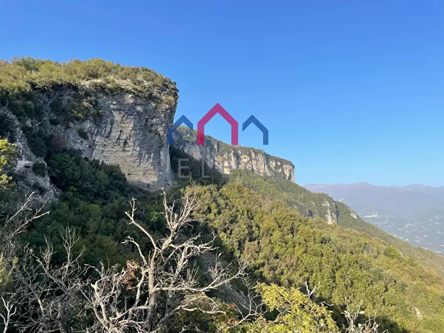 Immagine 4 di Terratetto in vendita  a Fabbriche Di Vergemoli