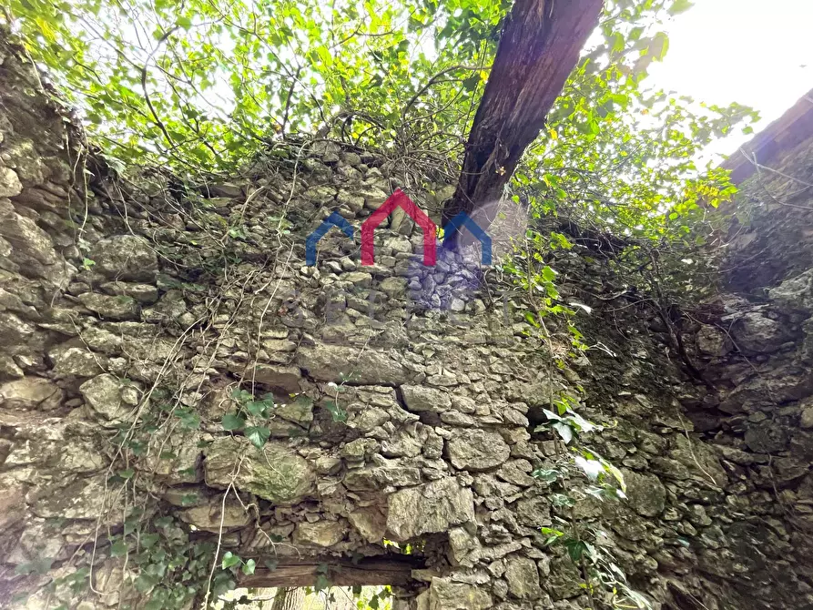 Immagine 52 di Terratetto in vendita  a Fabbriche Di Vergemoli