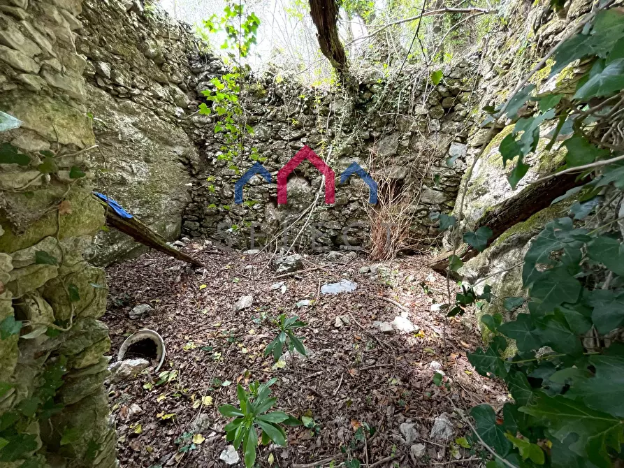 Immagine 51 di Terratetto in vendita  a Fabbriche Di Vergemoli