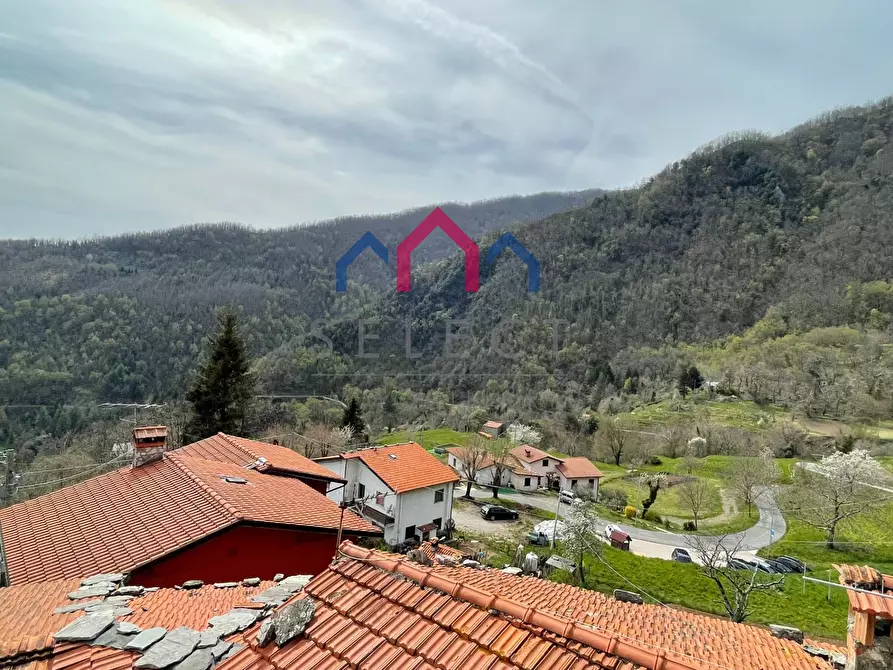 Immagine 49 di Terratetto in vendita  a Fabbriche Di Vergemoli