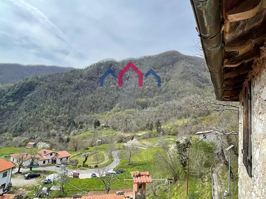 Immagine 50 di Terratetto in vendita  a Fabbriche Di Vergemoli