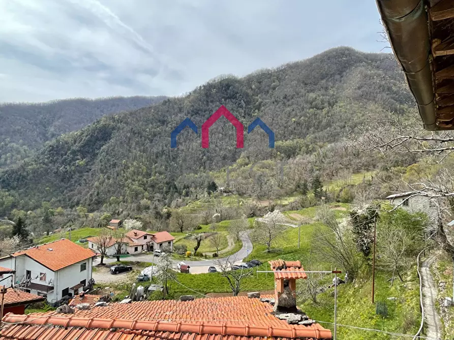 Immagine 48 di Terratetto in vendita  a Fabbriche Di Vergemoli